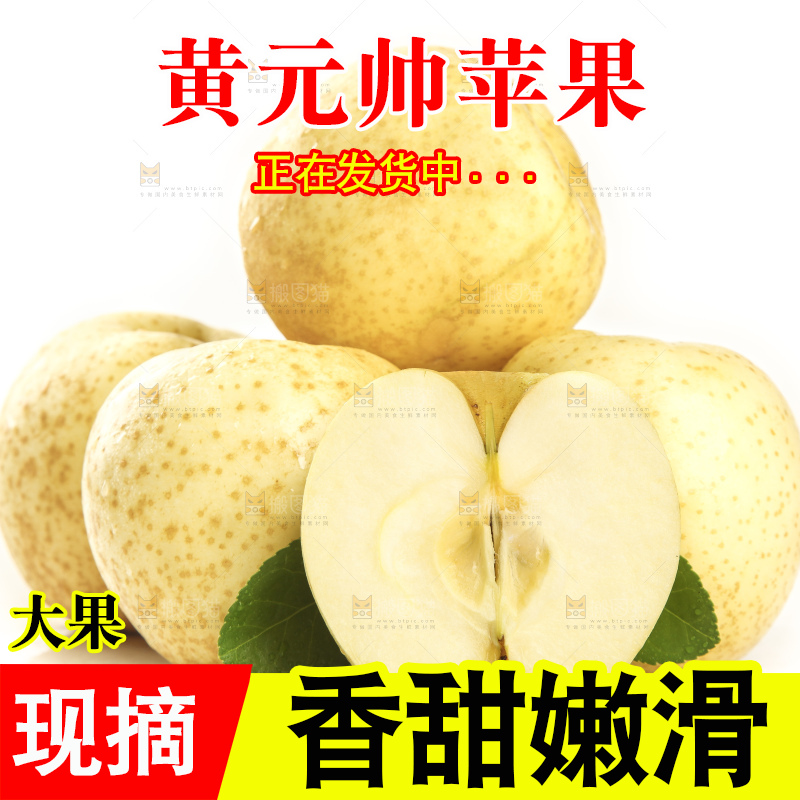 切开的烟台黄元帅苹果放在白底上