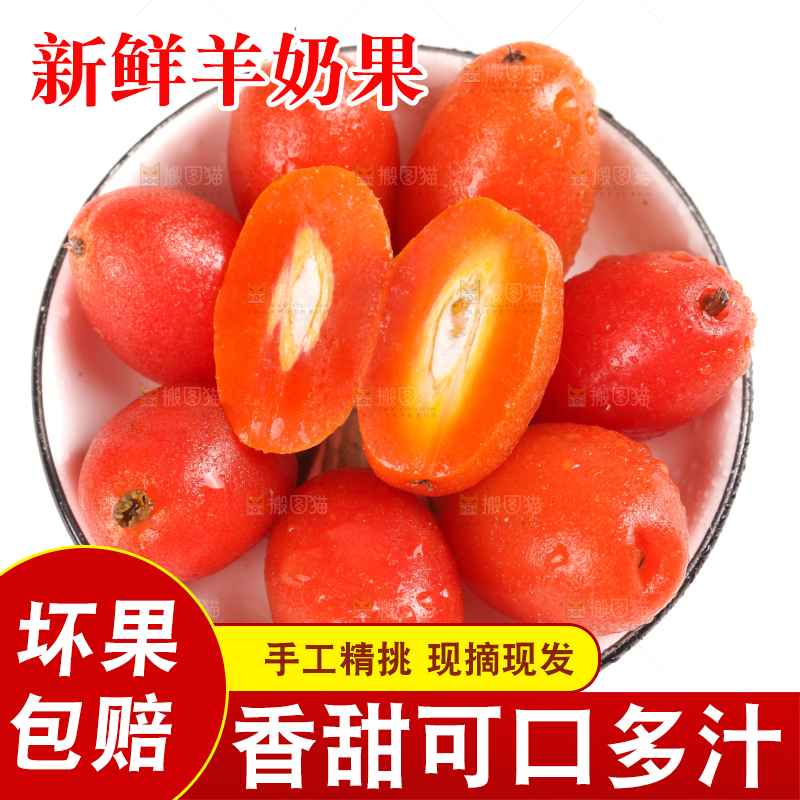 一盘新鲜的胡颓果放在白底上