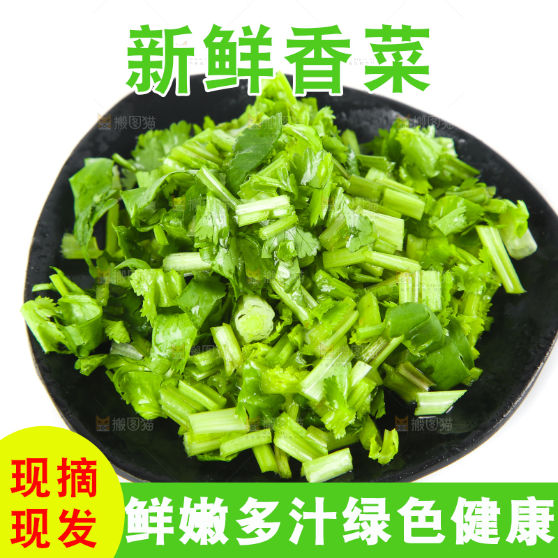 白底上放着一盘香菜