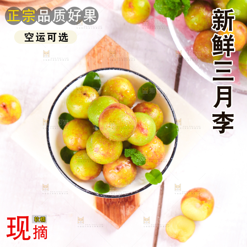 碗里装着钱排三月李