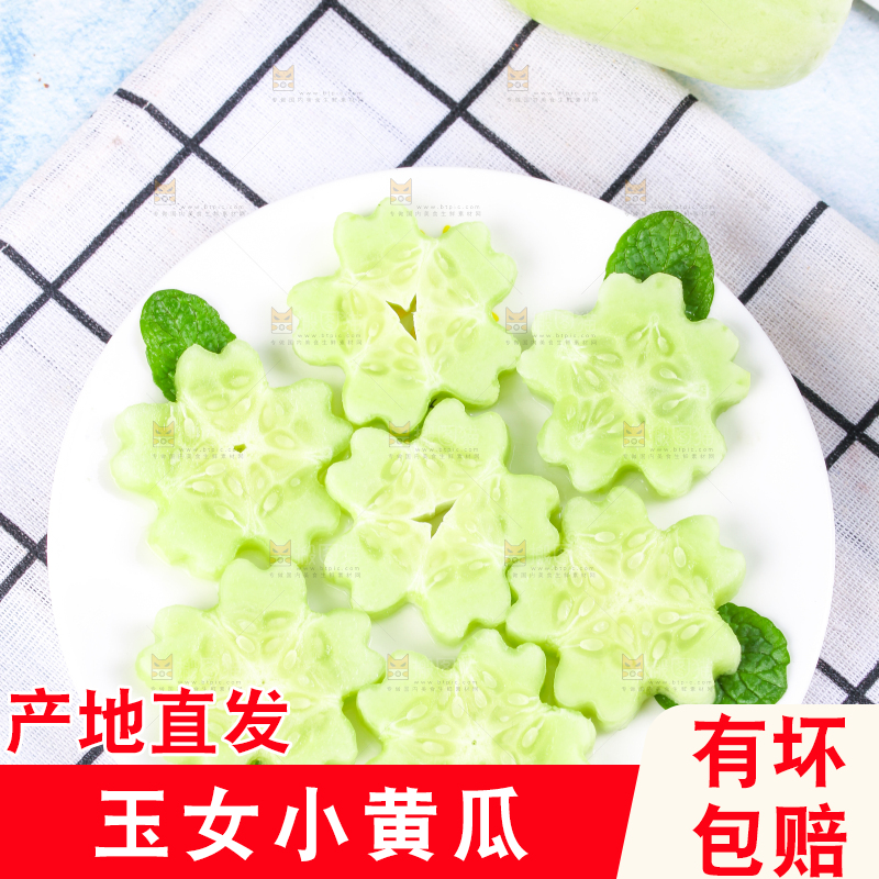 格子布上放着一盘玉女黄瓜片