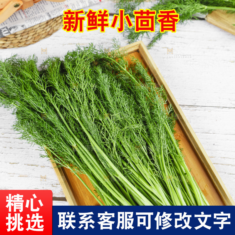 盘子里的云南小茴香菜