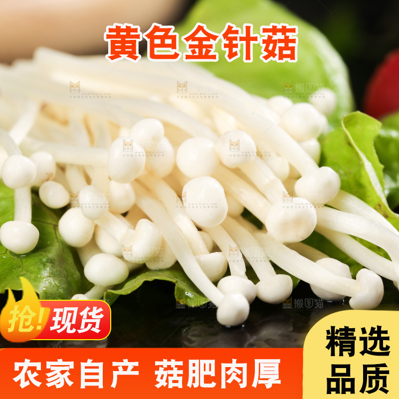深底上的新鲜金针菇