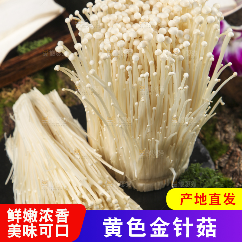 木底上的冬菇