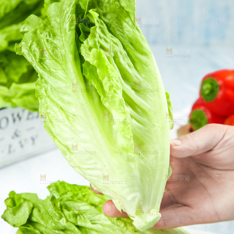 石板上摆放着意大利生菜
