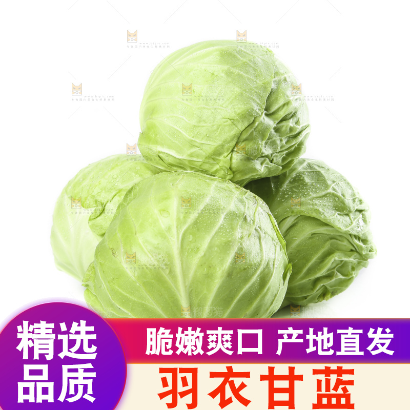 白底上摆放着包菜