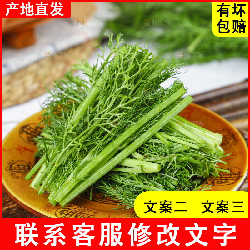 盘子里装着农家茴香菜