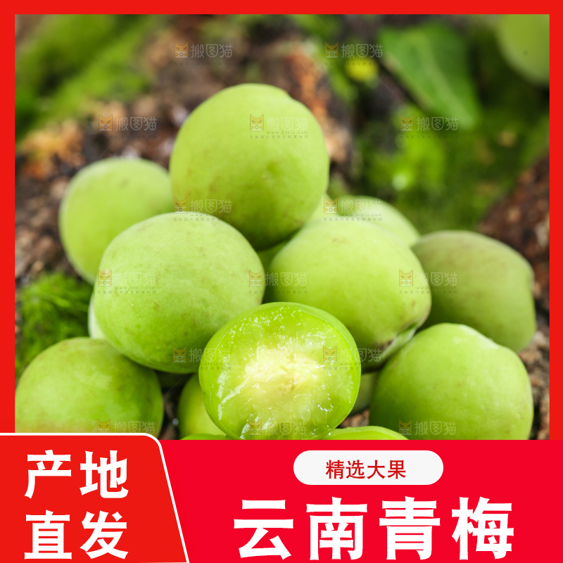 木底上的青梅