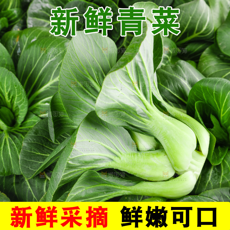 白底上的绿叶菜