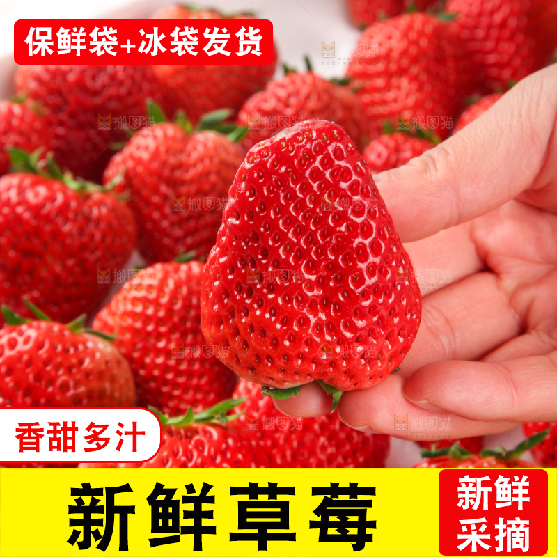 手里拿着新鲜草莓