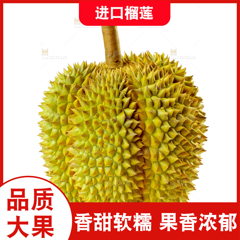 白底上的新鲜榴莲