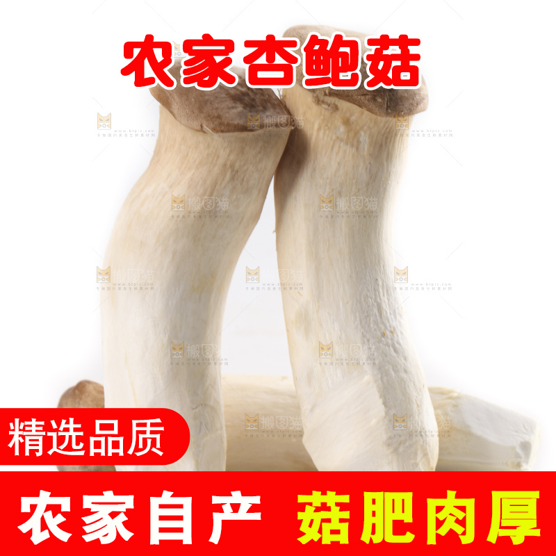 白底上放着大鸡腿菇