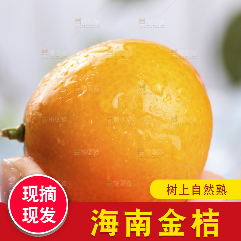 手里拿着脆皮金桔