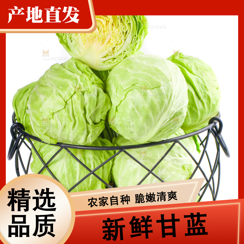 篮子里装绿甘蓝