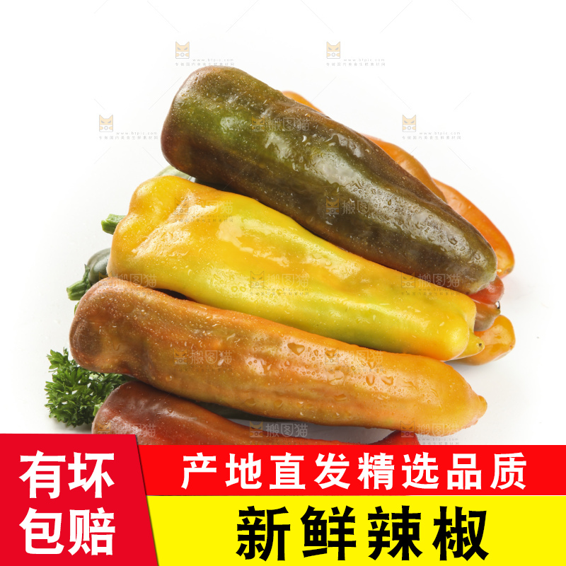 白底上的彩色辣椒