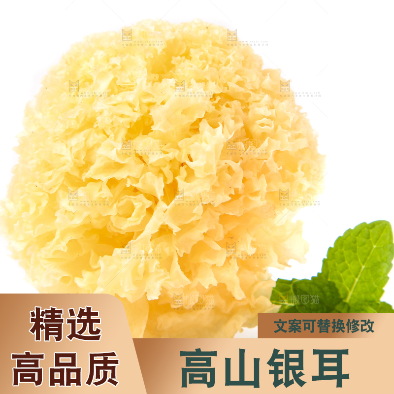 白底上的雪银耳