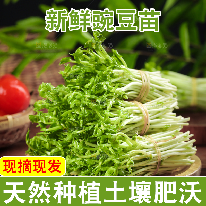 木板上放着豌豆芽