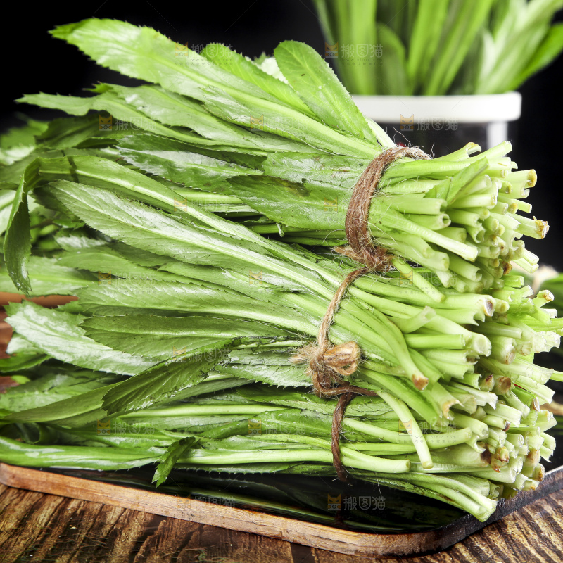 木底上的云南大香菜