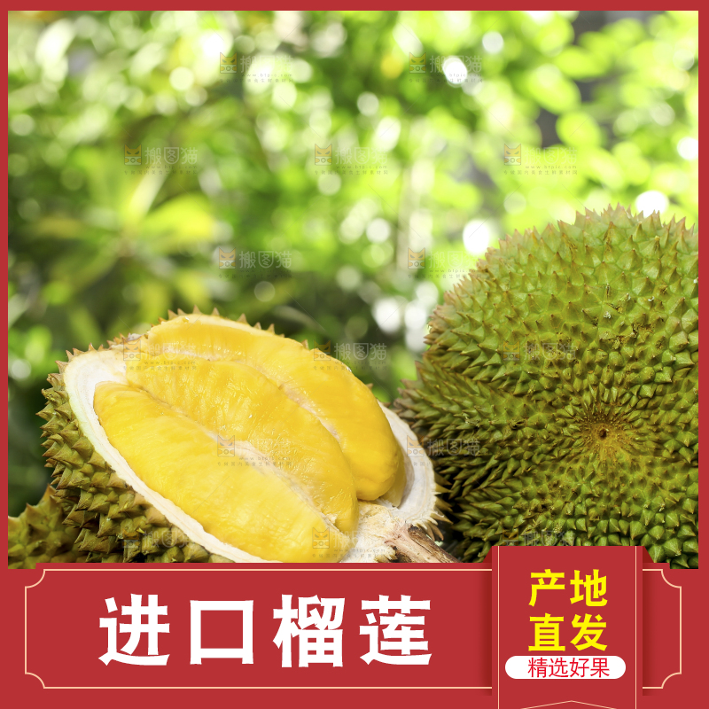 草地上摆放着甲仑榴莲