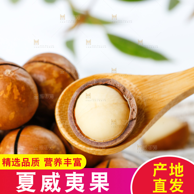 勺子里的夏威夷果