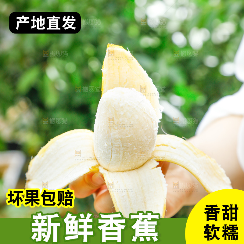 手拿剥皮的海南苹果蕉
