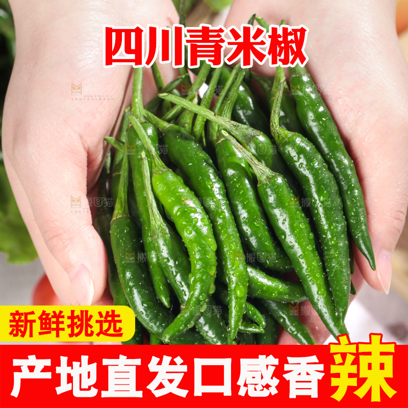 手拿新鲜青米椒