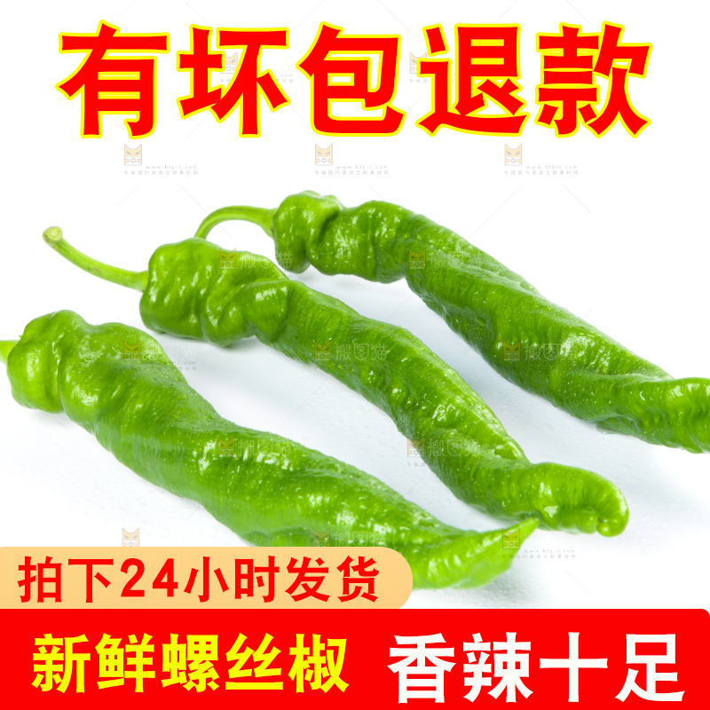 白底上摆放着青螺丝椒
