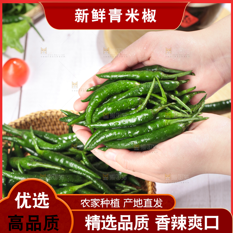 手拿新鲜青米椒