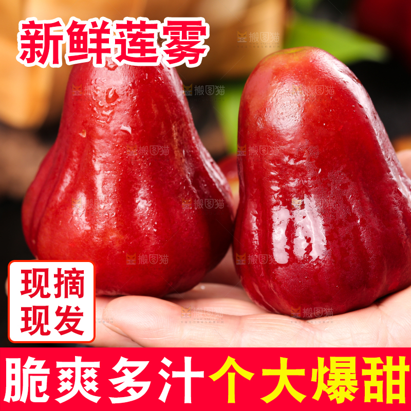 手拿新鲜莲雾