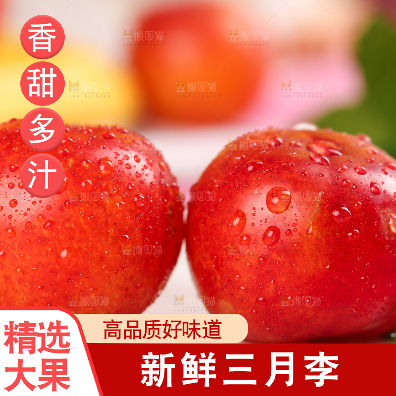 白石板上摆放着钱排三月李