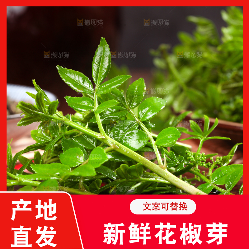 木底上的麻香花椒芽