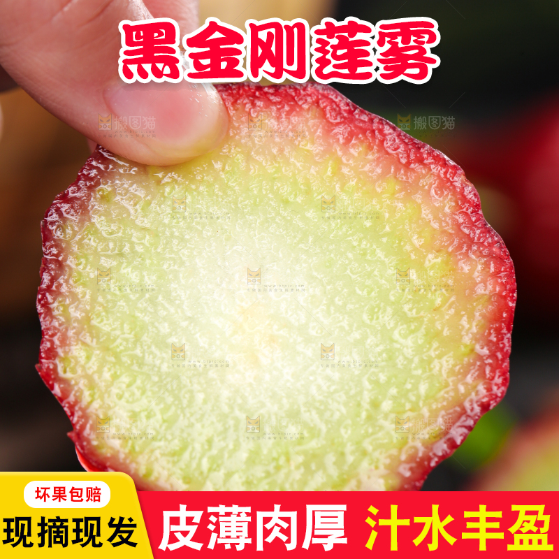 手拿切开的莲雾