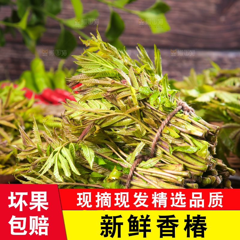 深底上放着一碗沂蒙山香椿芽