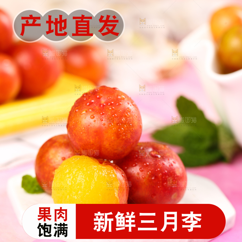 白石板上摆放着钱排三月李
