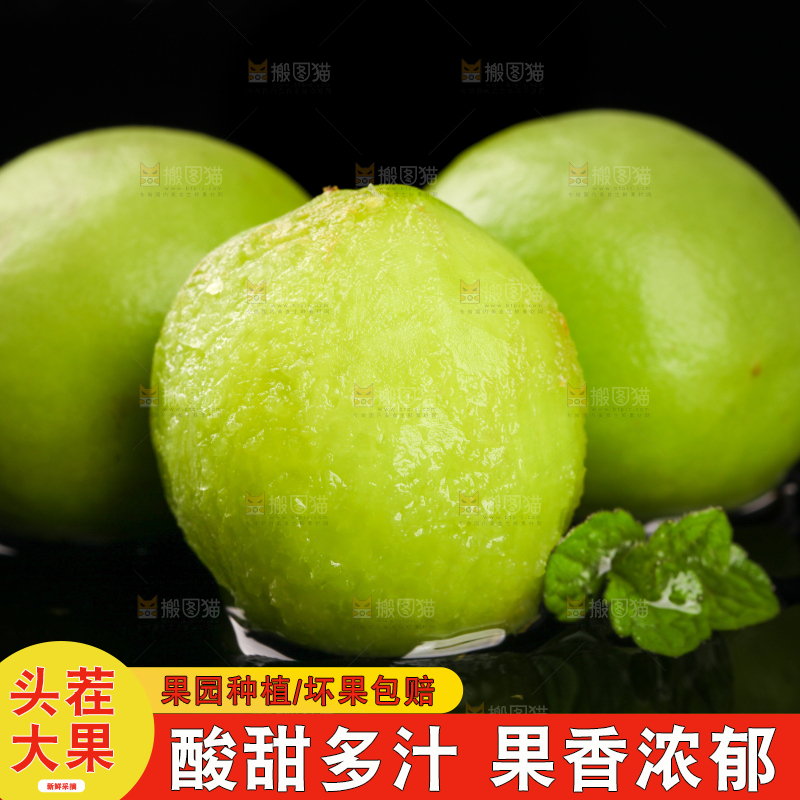 黑底上放着云南大理青梅
