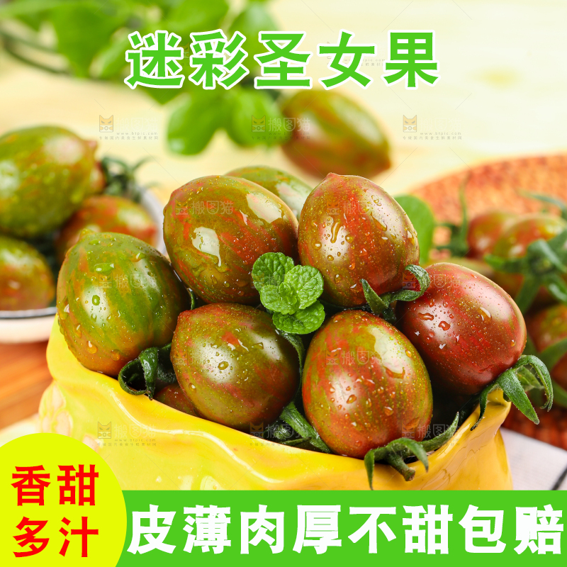 格子布上放着一盆迷彩圣女果