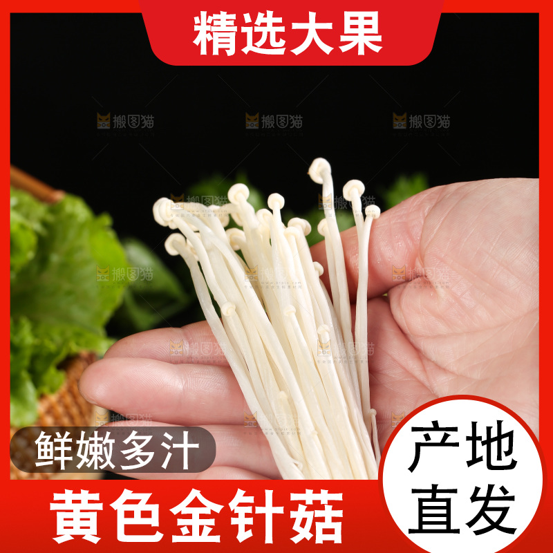 手拿新鲜金针菇