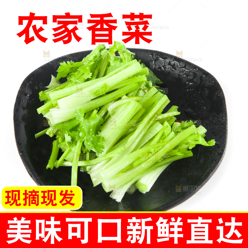 一盘香菜段放在白底上