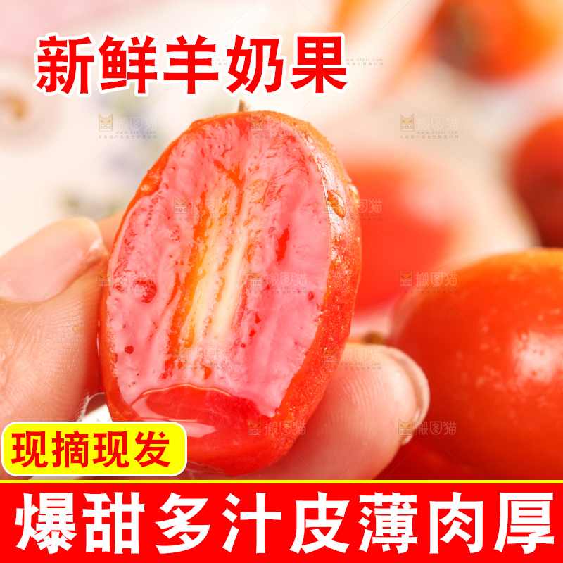 手拿切开的羊奶果