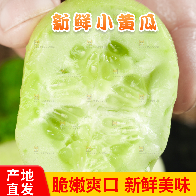 手拿切开的玉女黄瓜