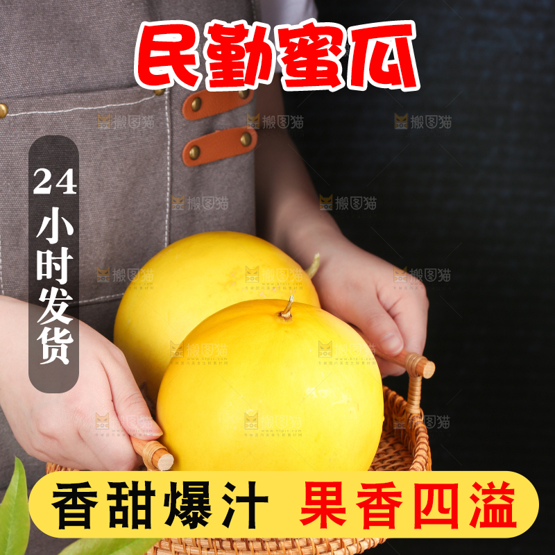 手端一盘黄河蜜瓜