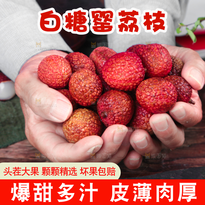 手拿新鲜荔枝
