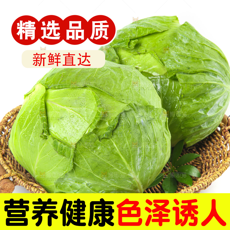 白底上放着一筐包菜