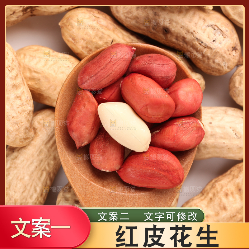 勺子里装着东北红皮花生