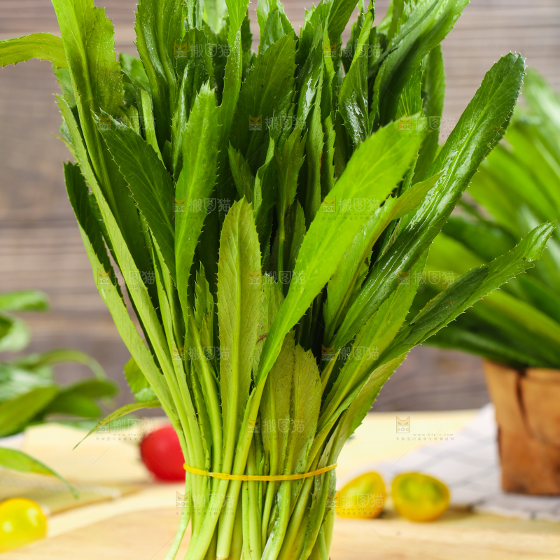 木底上的缅芫荽