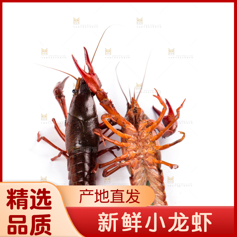 白底上放着潜江小龙虾