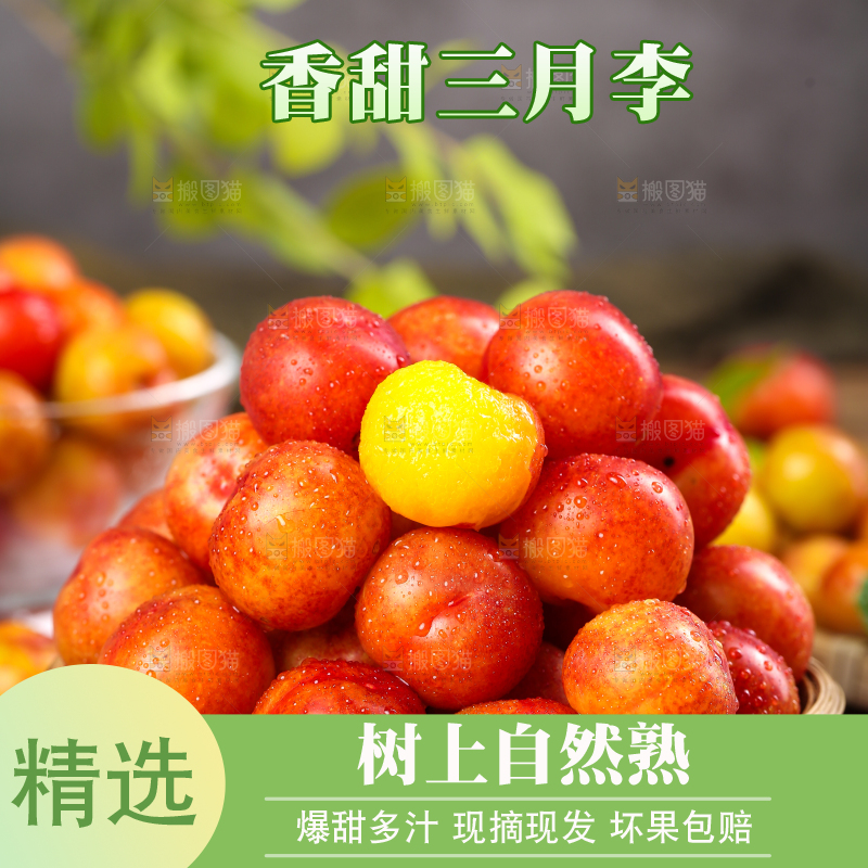 篮子里装着珍珠李子