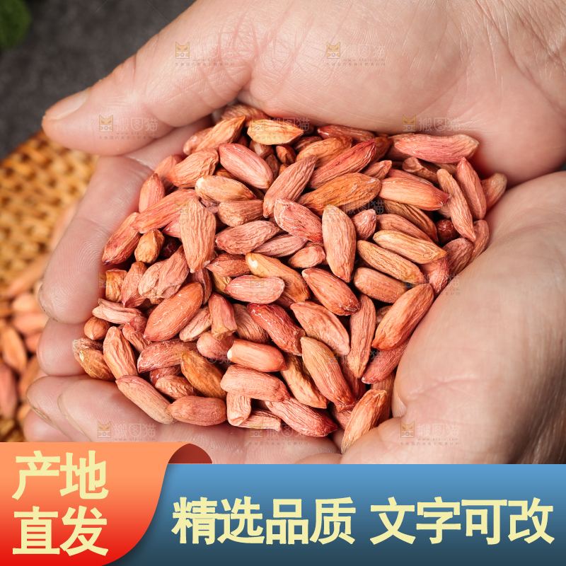 手里拿着小粒花生仁