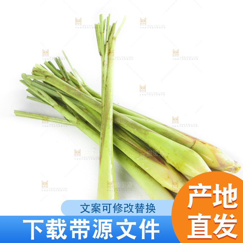 白底上的泰国香茅草