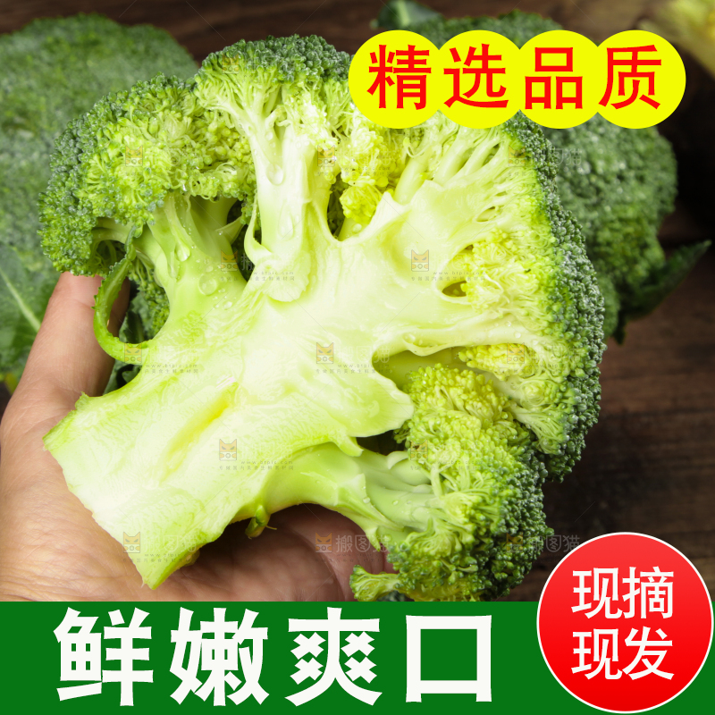 手拿新鲜的西兰花